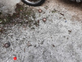 20180909_172651