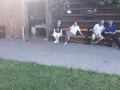 20190615_182807